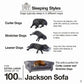 Jackson Sofa BearwoodEssentials-Elevated Pet Feeders