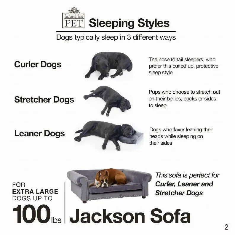 Jackson Sofa BearwoodEssentials-Elevated Pet Feeders