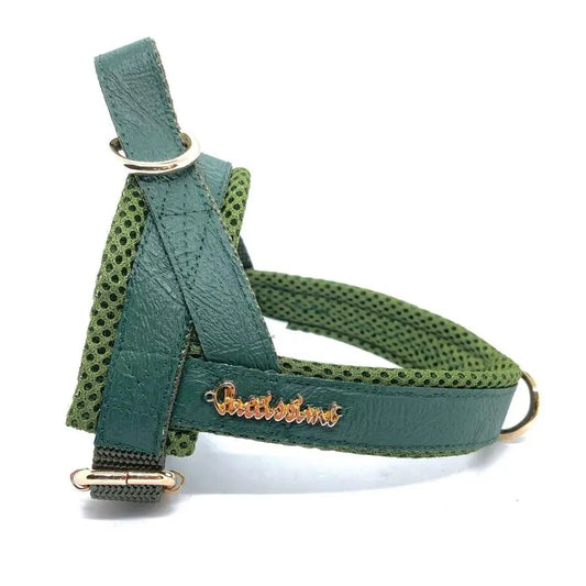 Jade One-click dog harness BearwoodEssentials-Elevated Pet Feeders
