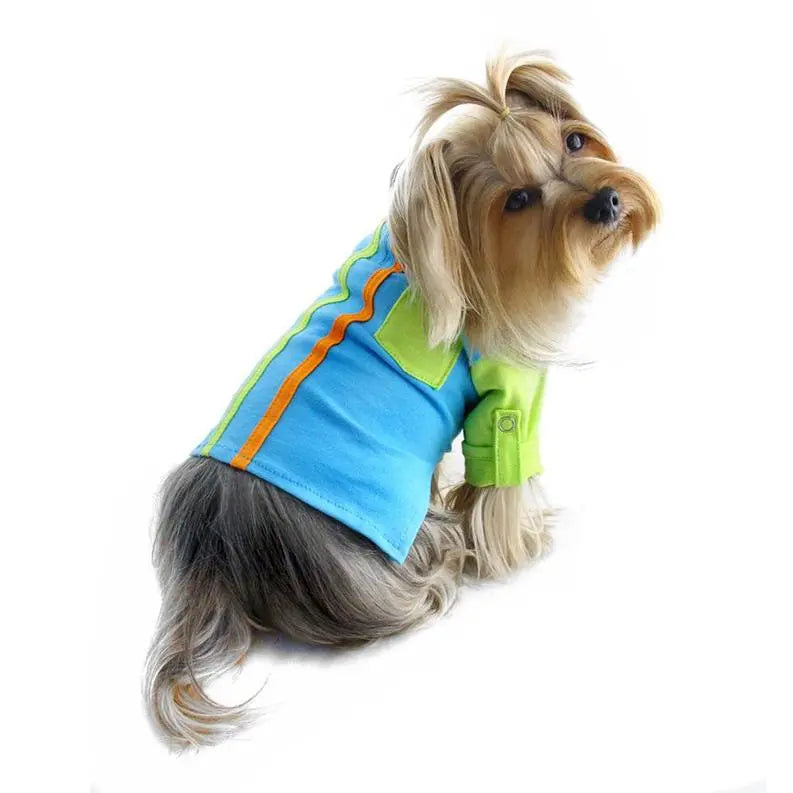 Knit Cotton Contrast Shirt with Roll-Up Sleeves BearwoodEssentials-Elevated Pet Feeders