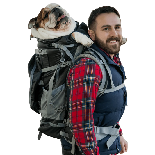 Kolossus | Big Dog Carrier & Backpacking Pack K9 Sport Sack
