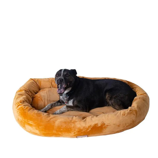 Armarkat Bolstered Pet Bed and Mat, ultra-soft Dog Bed S/M/L BearwoodEssentials-Elevated Pet Feeders