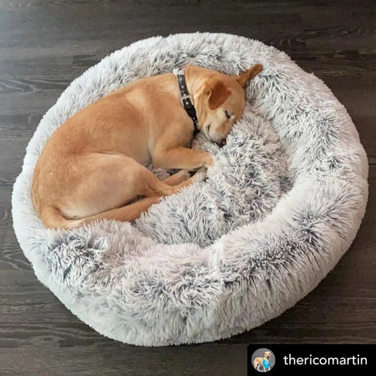 Mr. Peanut's OrthoPlush Pet Bed Mr. Peanut's Premium Products