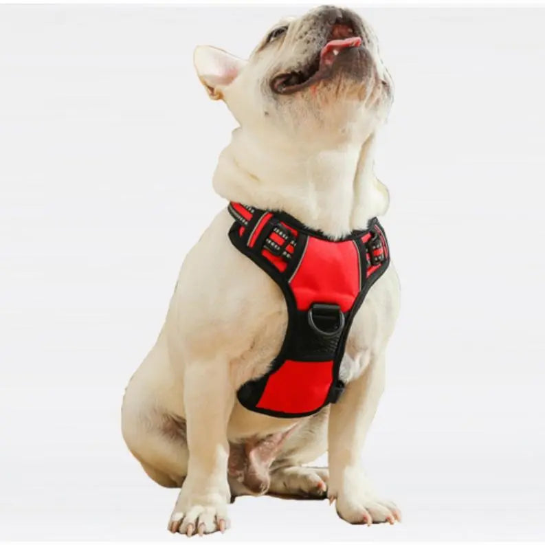 Mr. Peanut's PetTrek Reflective Pet Harness With Matching Leash BearwoodEssentials-Elevated Pet Feeders