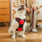 Mr. Peanut's PetTrek Reflective Pet Harness With Matching Leash BearwoodEssentials-Elevated Pet Feeders