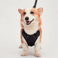 Mr. Peanut's PetTrek Reflective Pet Harness With Matching Leash BearwoodEssentials-Elevated Pet Feeders