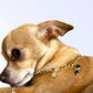 My Summertime Aviator Charm Toggle Necklace Bark Fifth Avenue