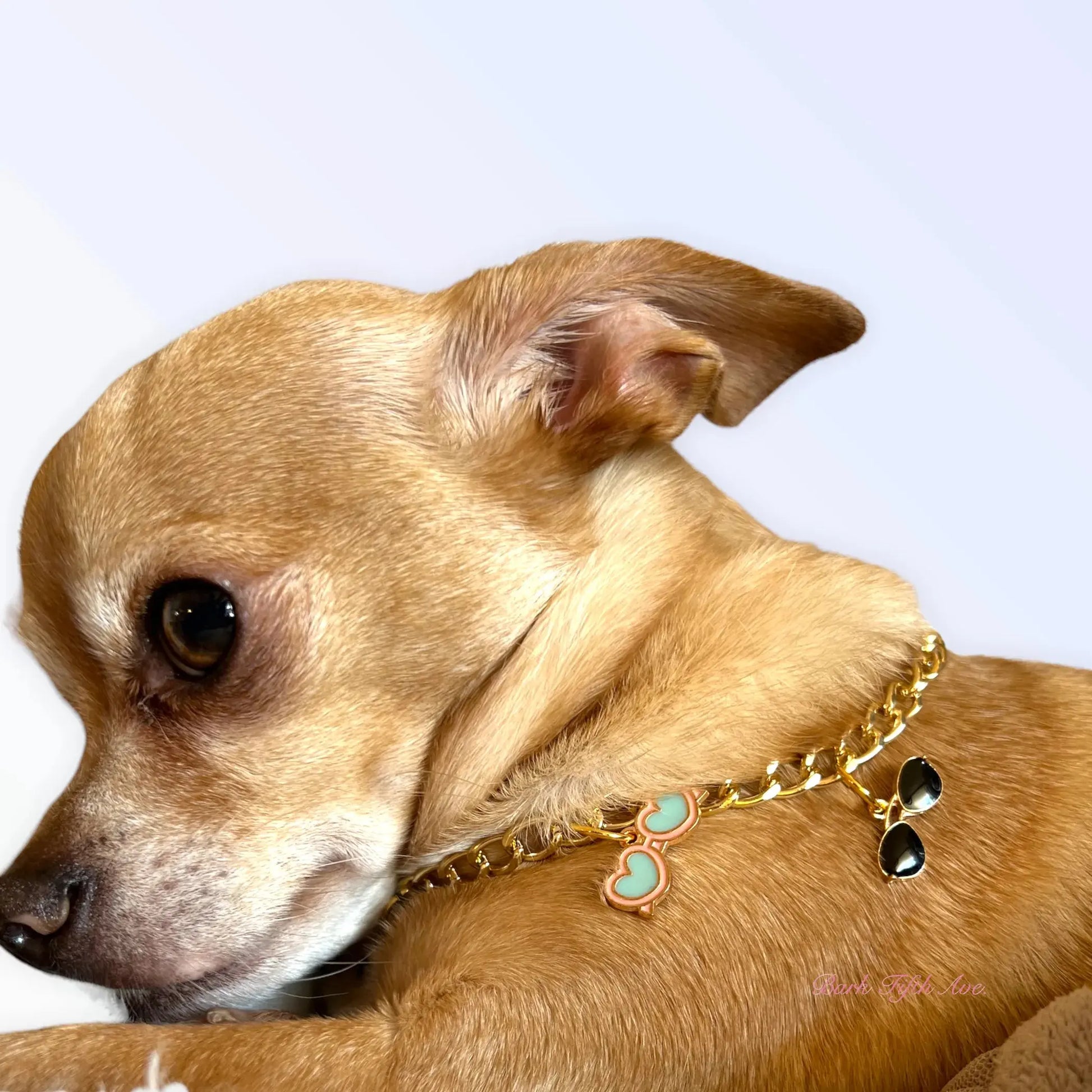 My Summertime Aviator Charm Toggle Necklace Bark Fifth Avenue