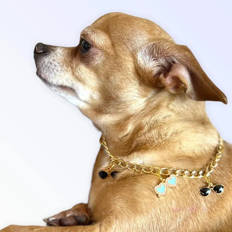 My Summertime Aviator Charm Toggle Necklace BearwoodEssentials-Elevated Pet Feeders