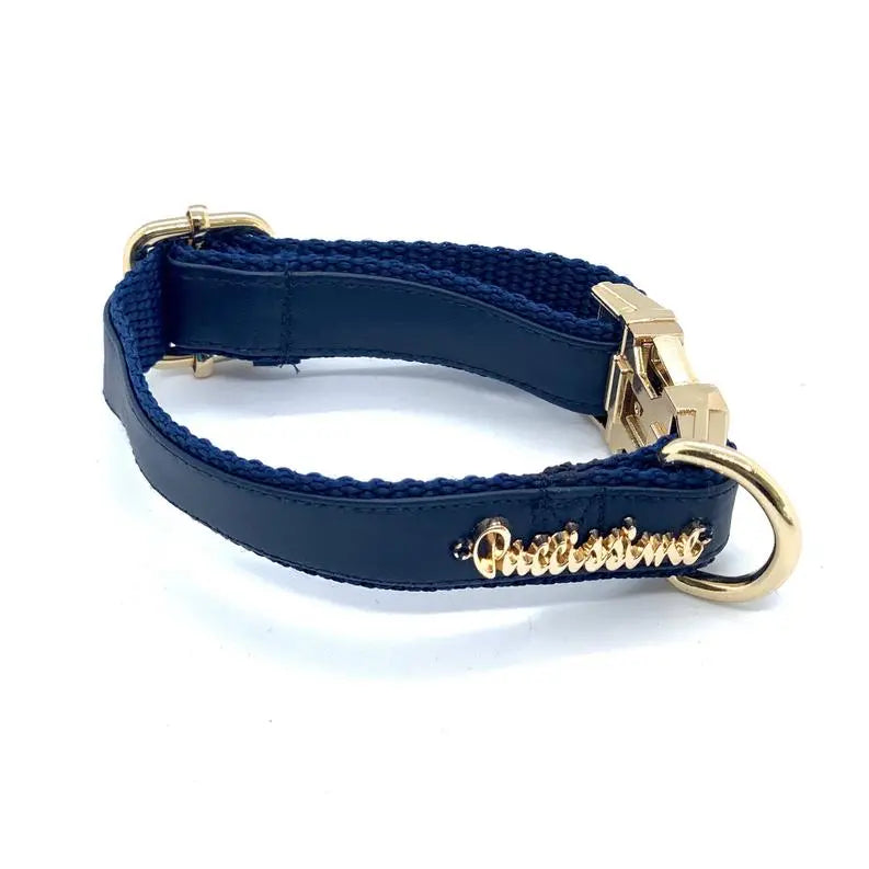 Neptune Dog Collar, Bow Tie, Leash Set BearwoodEssentials-Elevated Pet Feeders