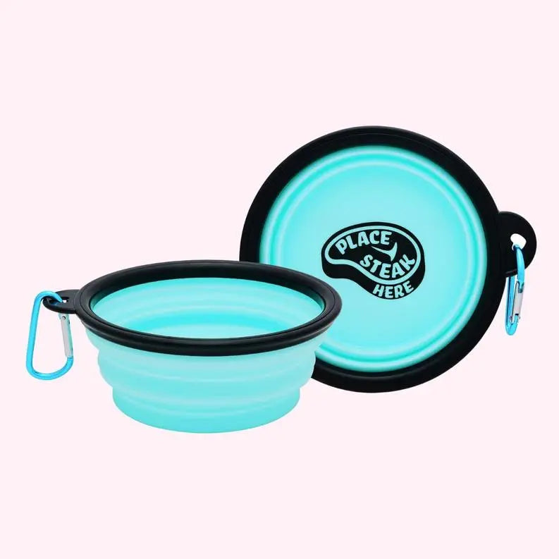 "Place Steak Here" Aqua Dog Bowl BearwoodEssentials-Elevated Pet Feeders