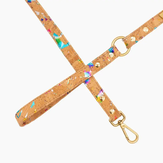 Rainbow Pride Cork Leather Leash BearwoodEssentials-Elevated Pet Feeders