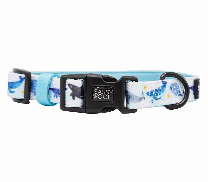 Sassy Woof Dog Collars BearwoodEssentials-Elevated Pet Feeders