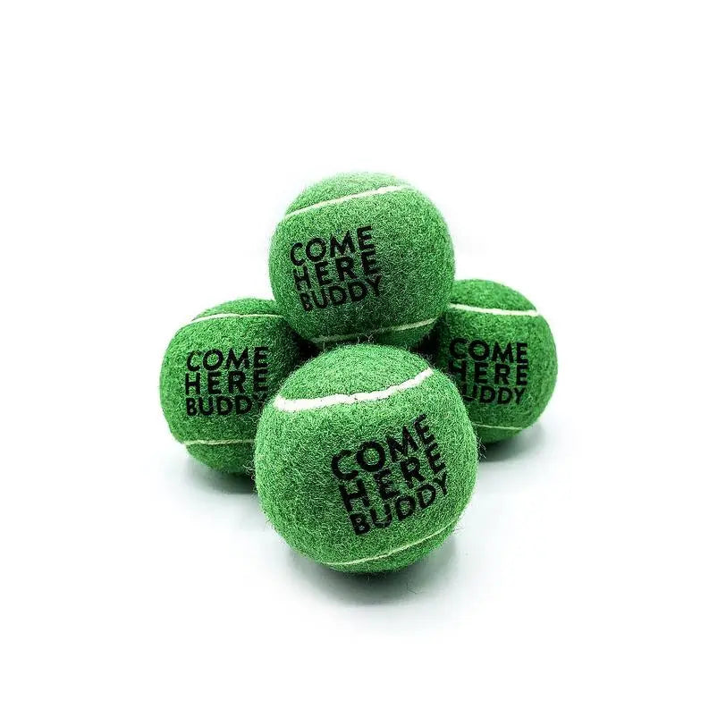 Set of 4 Come Here Buddy Tennis Balls in Green BearwoodEssentials-Elevated Pet Feeders