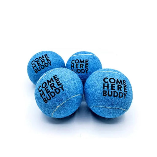 Set of 4 Come Here Buddy Tennis Balls in Sky Blue BearwoodEssentials-Elevated Pet Feeders