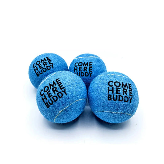 Set of 4 Come Here Buddy Tennis Balls in Sky Blue Come Here Buddy