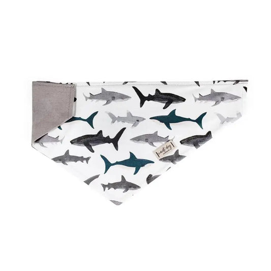 Shark! Over-the-collar Dog Bandana BearwoodEssentials-Elevated Pet Feeders