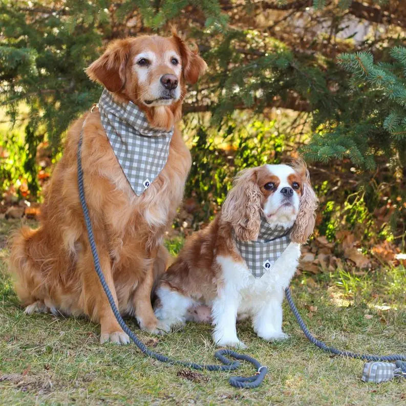Stone Rope Dog Leash BearwoodEssentials-Elevated Pet Feeders