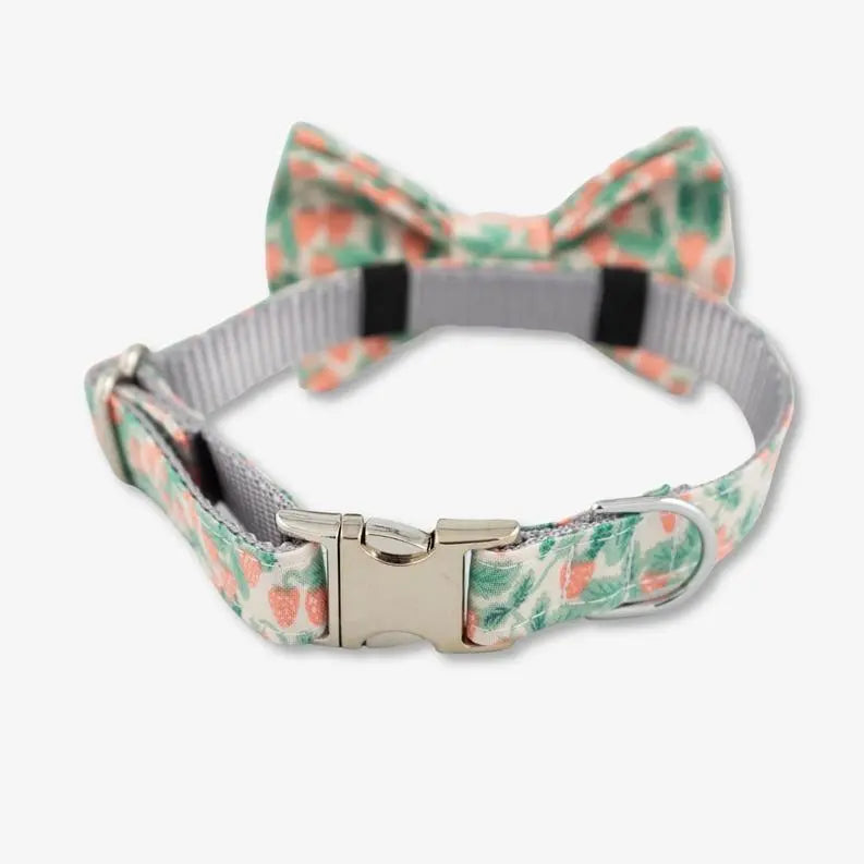 Strawberry Bow Tie Dog Collar BearwoodEssentials-Elevated Pet Feeders