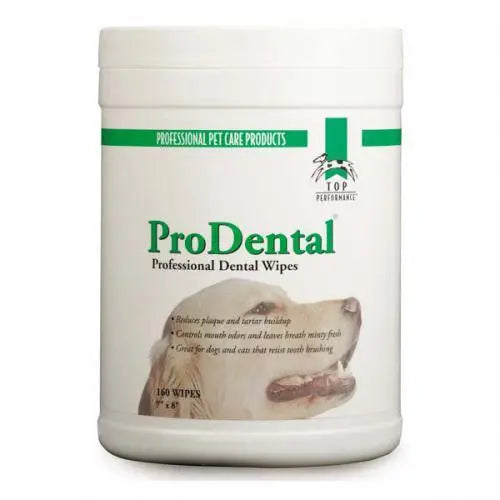 TP Dental Wipe 160Pk Canister BearwoodEssentials-Elevated Pet Feeders