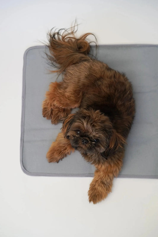 Thera-Pawz Warming Pad The Green Pet Shop