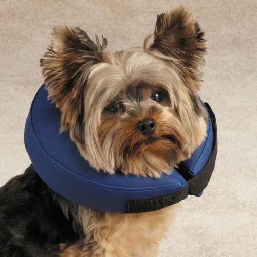 Total Pet Health Inflatable Collar BearwoodEssentials-Elevated Pet Feeders