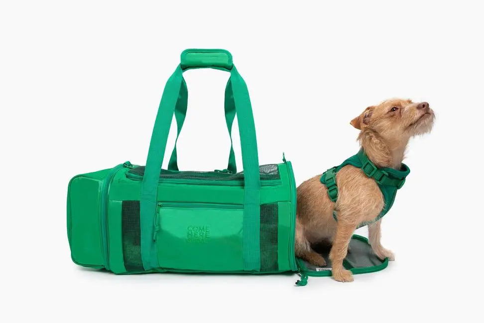 Travel Buddy  - Pet Carrier BearwoodEssentials-Elevated Pet Feeders