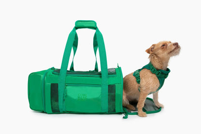 Travel Buddy  - Pet Carrier Come Here Buddy