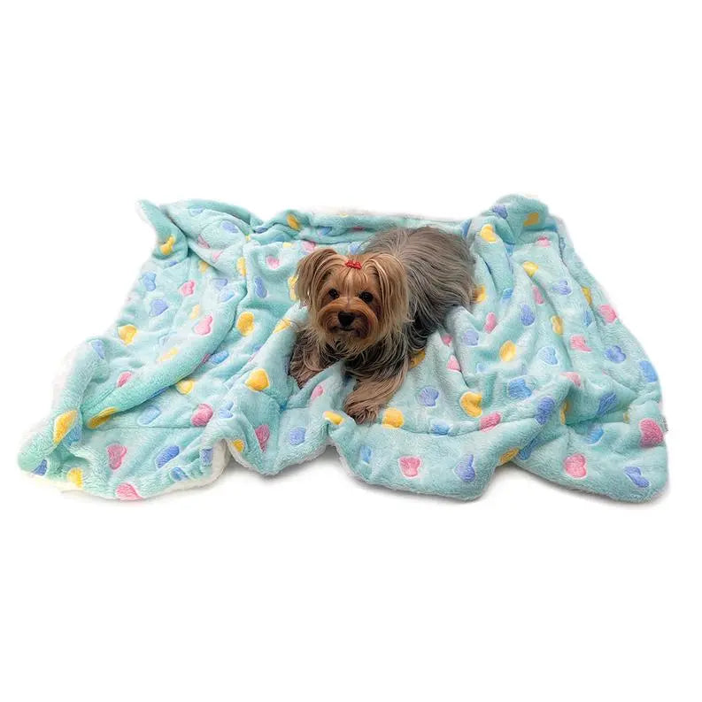 Ultra Plush Colorful Hearts Blanket BearwoodEssentials-Elevated Pet Feeders