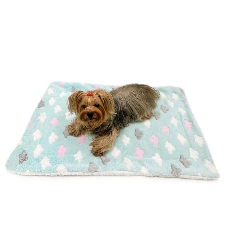 Ultra Plush Fluffy Clouds Blanket BearwoodEssentials-Elevated Pet Feeders