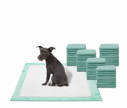 WizSmart All Day Dry Dog Pads Super 50 Count 3 Pack BearwoodEssentials-Elevated Pet Feeders