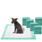 WizSmart All Day Dry Dog Pads Super 50 Count 3 Pack Petix Company