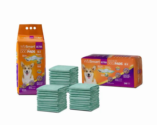 WizSmart All Day Dry Dog Pads Ultra 30 Count 4 Pack BearwoodEssentials-Elevated Pet Feeders