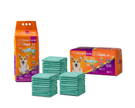 WizSmart All Day Dry Dog Pads Ultra 30 Count 4 Pack Petix Company