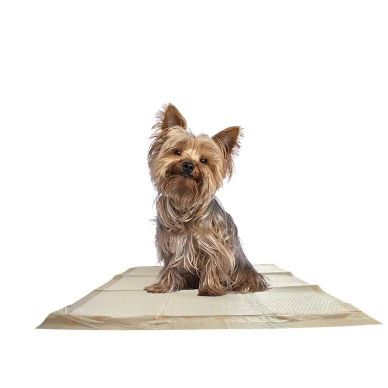 WizSmart Essentials Pads BearwoodEssentials-Elevated Pet Feeders