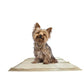 WizSmart Essentials Pads WizSmart