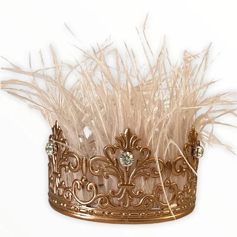 Zsa Zsa Glamour Girl Crown BearwoodEssentials-Elevated Pet Feeders