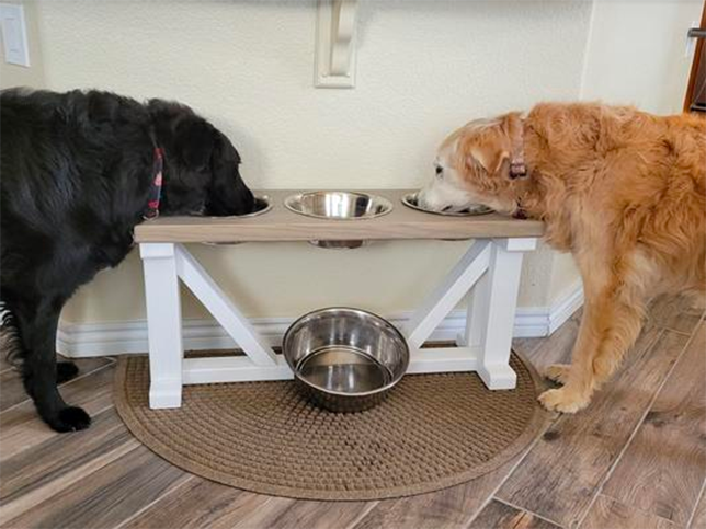 dog bowls and feeders