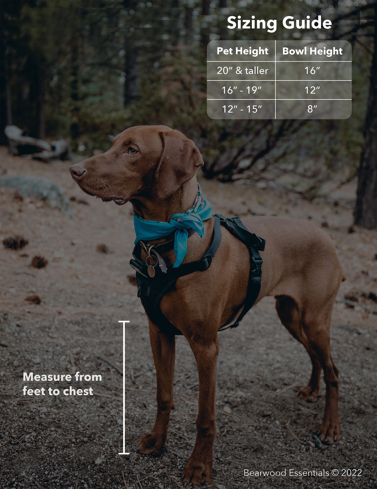 Dog bowl size chart. See how our dog bowls fit any size dog! –  BearwoodEssentials-Elevated Pet Feeders